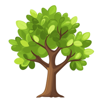 Pohon